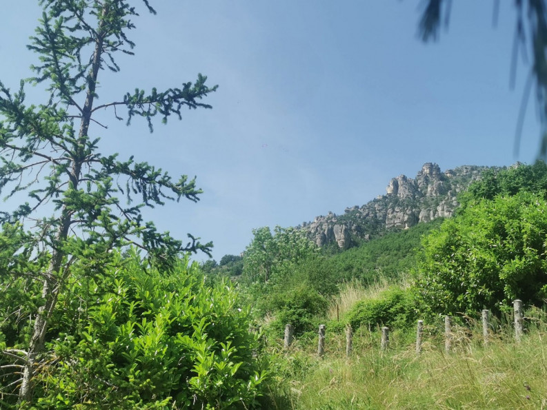 vente Terrain Mostuejouls - Photo 1