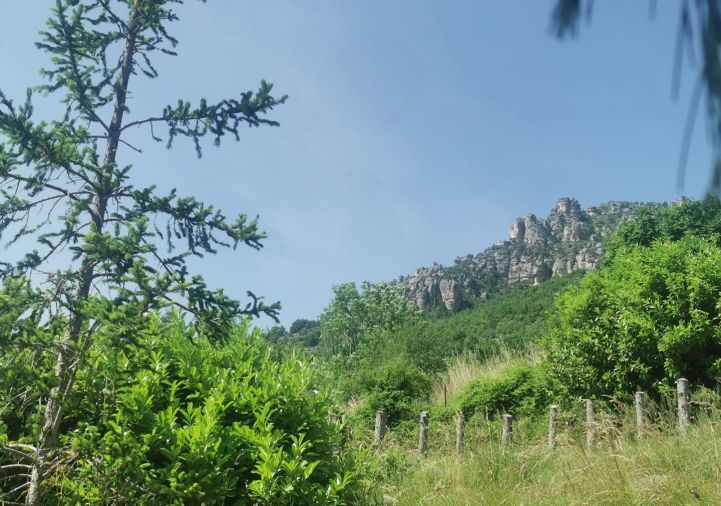 vente Terrain Mostuejouls