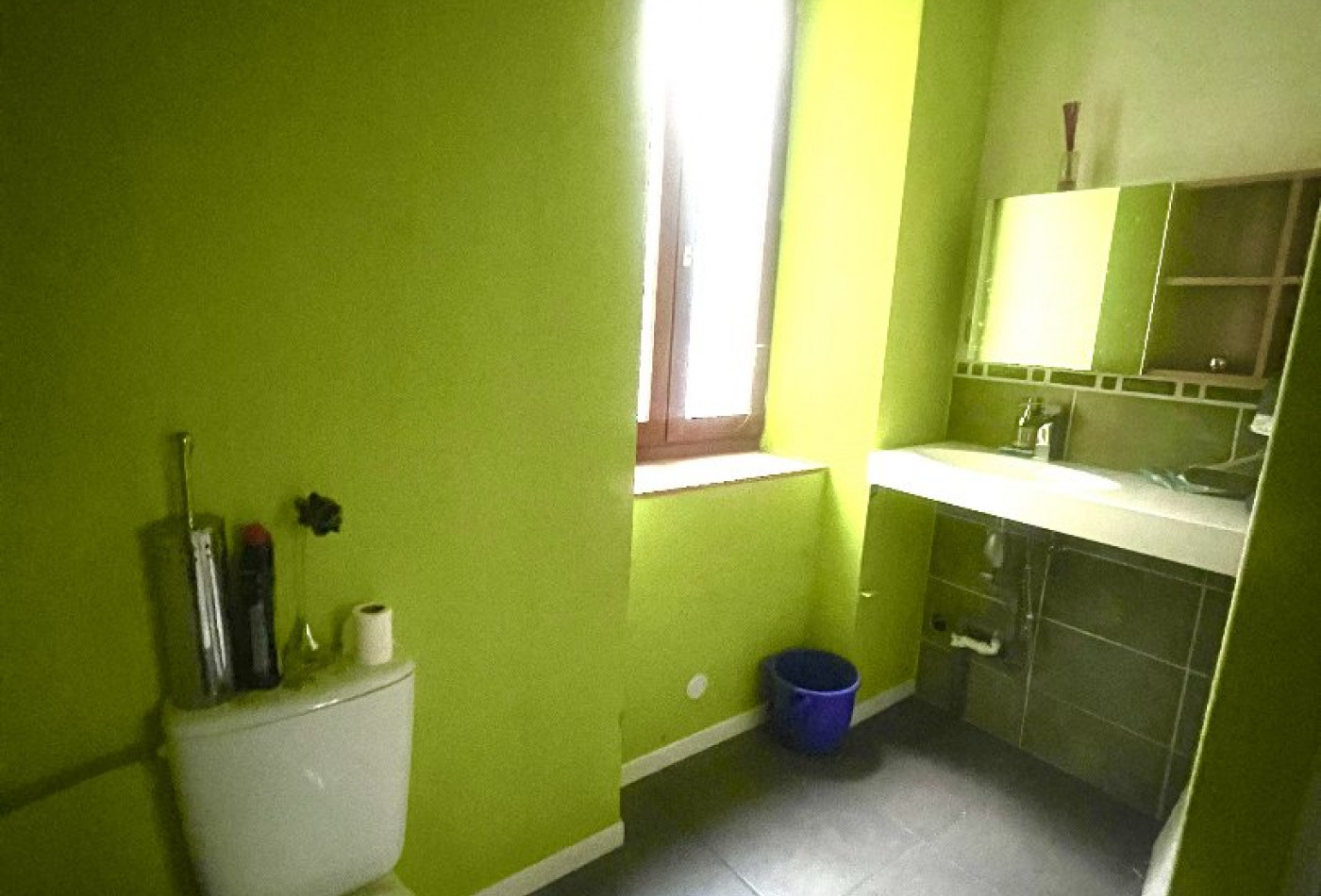 vente Maison Marvejols - Photo 9