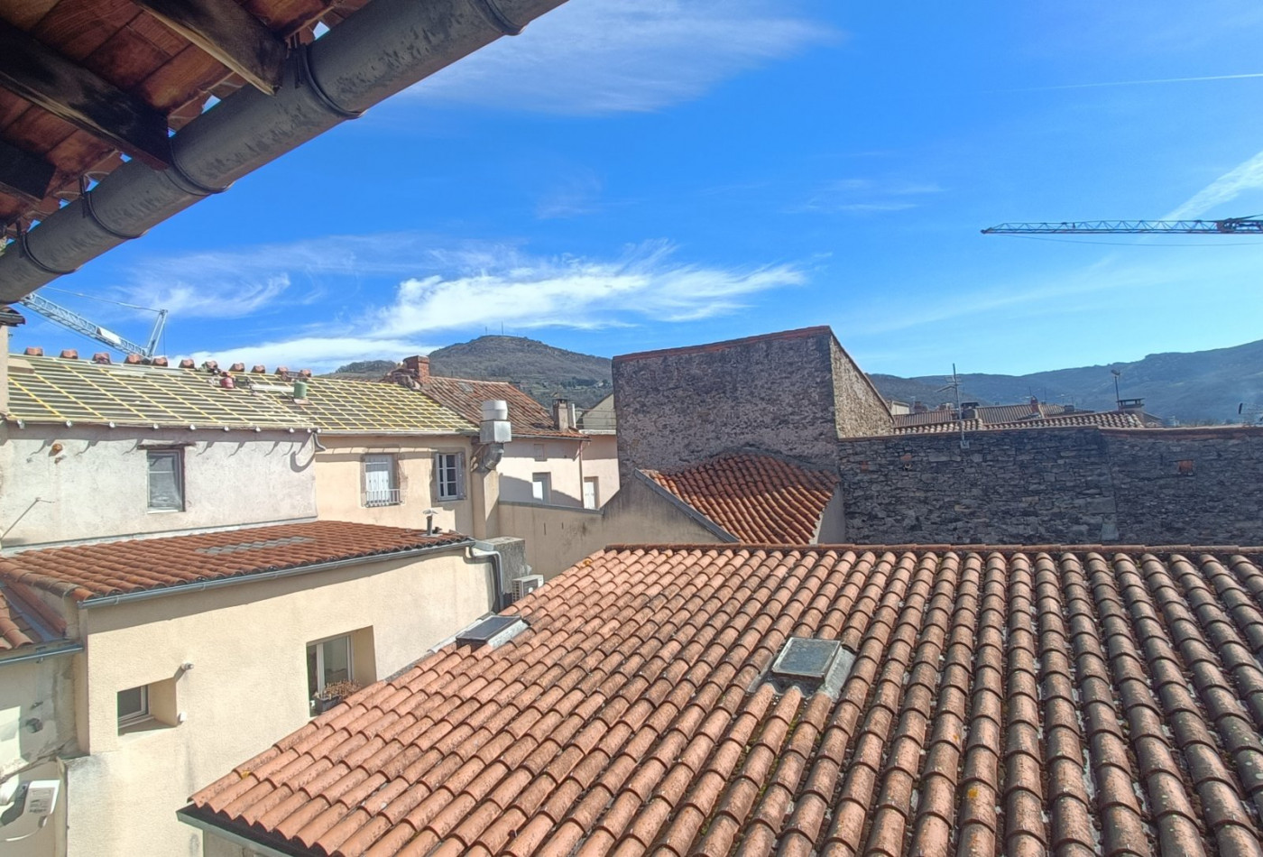 vente Immeuble de rapport Saint Affrique - Photo 5