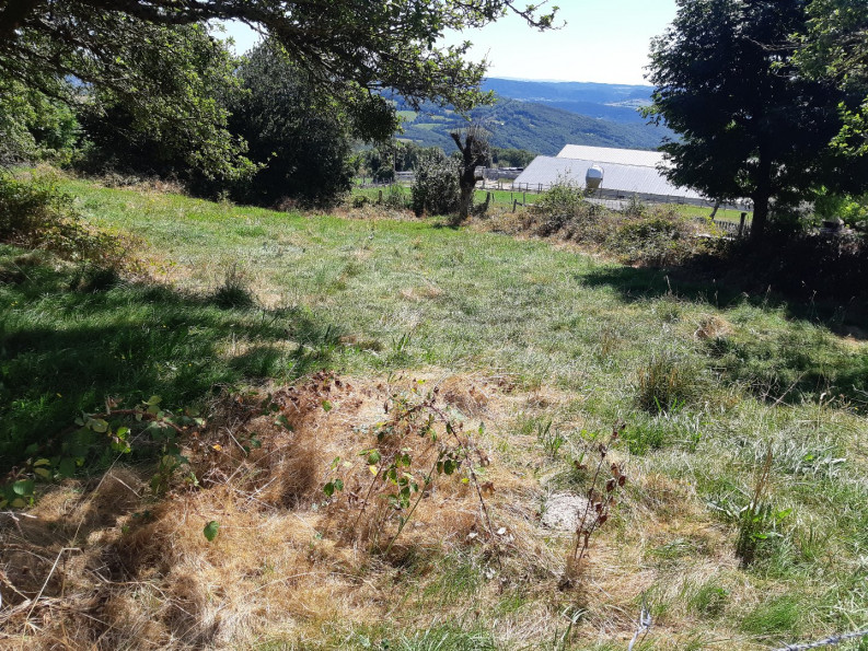 sale Maison de village Saint Pierre De Nogaret - Photo 6