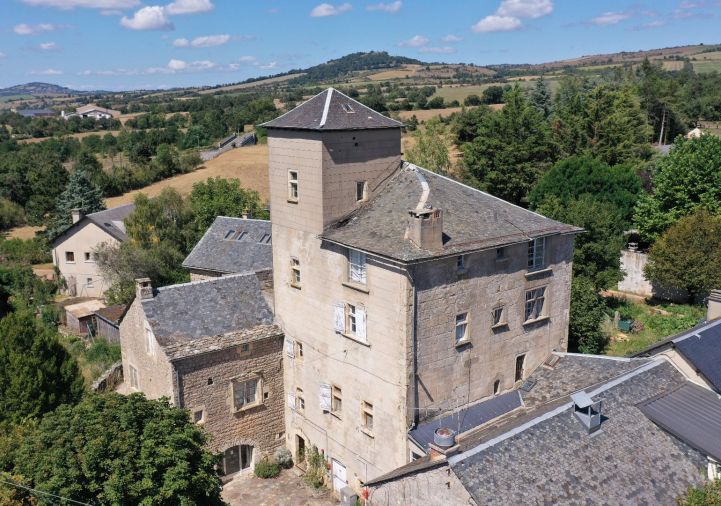 vente Château Severac Le Chateau