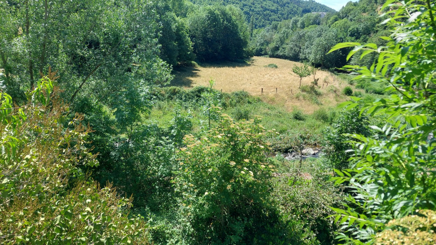 vente Maison de village Saint Leger De Peyre - Photo 2
