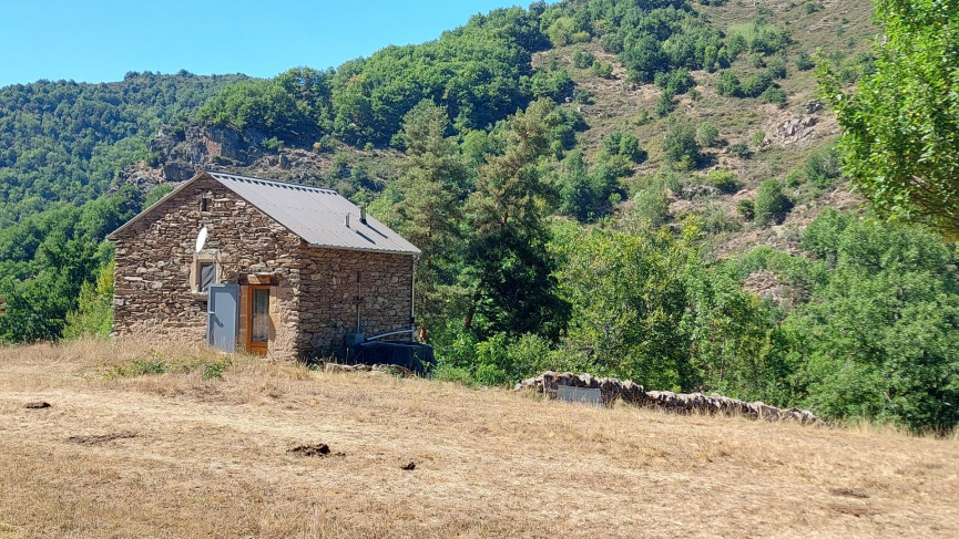 vente Mazet Saint Leger De Peyre - Photo 2