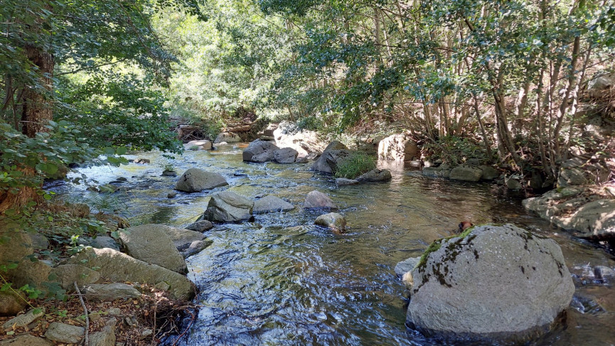 vente Mazet Saint Leger De Peyre - Photo 9