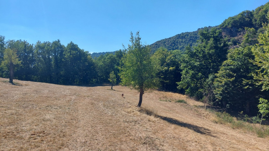 vente Mazet Saint Leger De Peyre - Photo 4