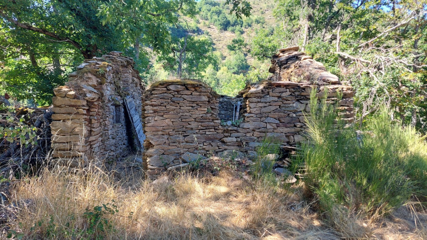 vente Mazet Saint Leger De Peyre - Photo 5