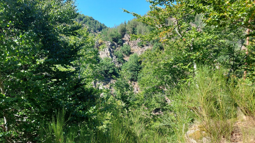 vente Mazet Saint Leger De Peyre - Photo 7