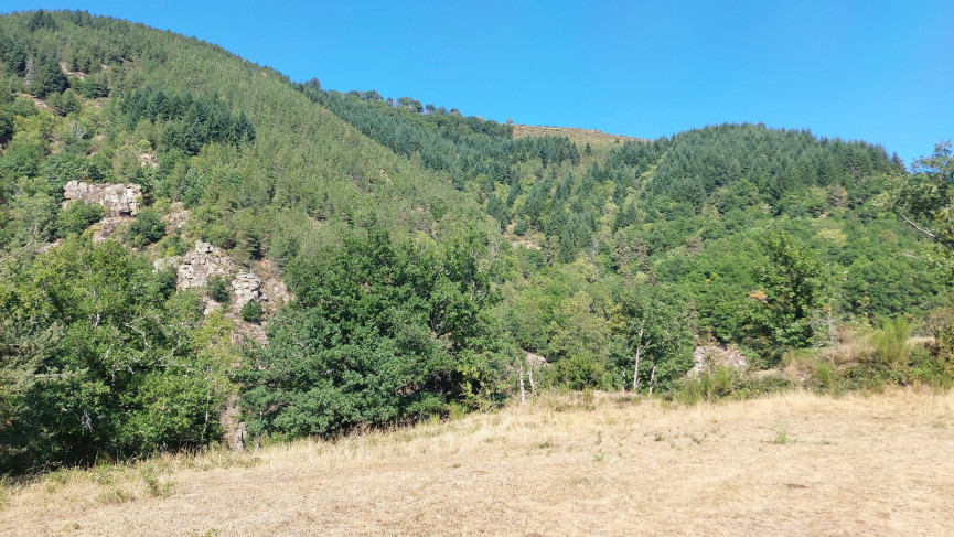 vente Mazet Saint Leger De Peyre - Photo 8