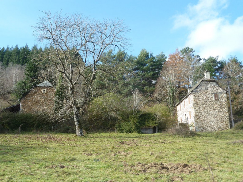 vente Maison Entraygues Sur Truyere - Photo 2