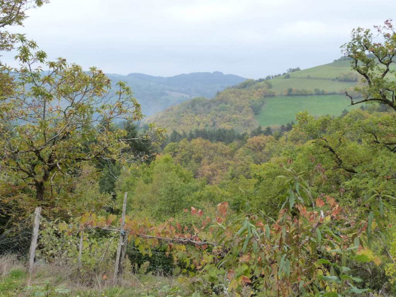 vente Propriété agricole Entraygues Sur Truyere - Photo 3