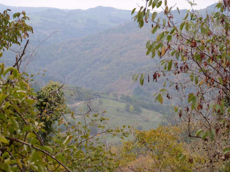 vente Propriété agricole Entraygues Sur Truyere - Photo 4