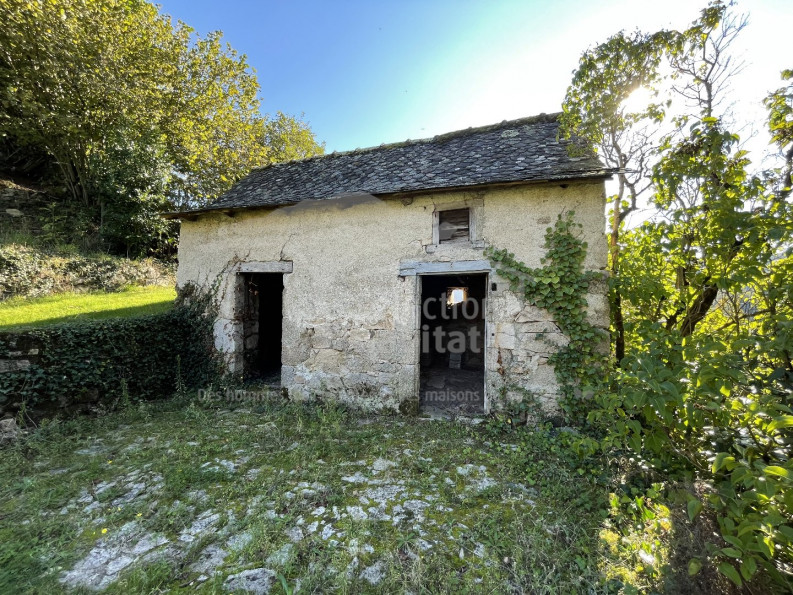 vente Maison de maître Entraygues Sur Truyere - Photo 19