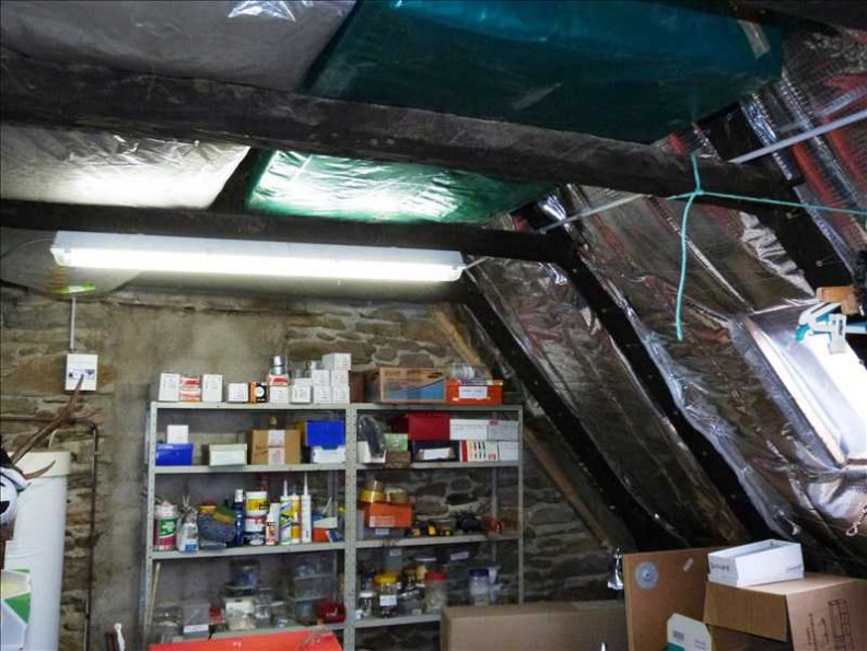 vente Maison Vieillevie - Photo 10