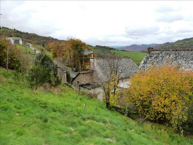 vente Maison Vieillevie - Photo 9