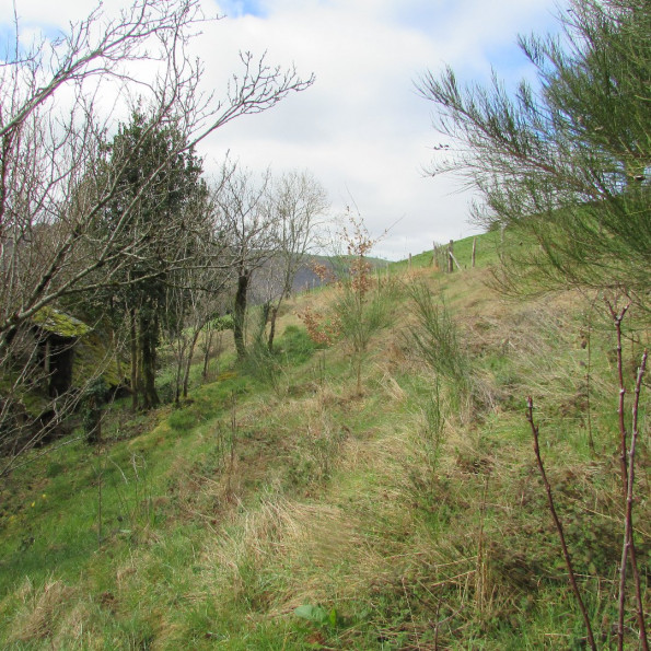 vente Maison Vieillevie - Photo 18