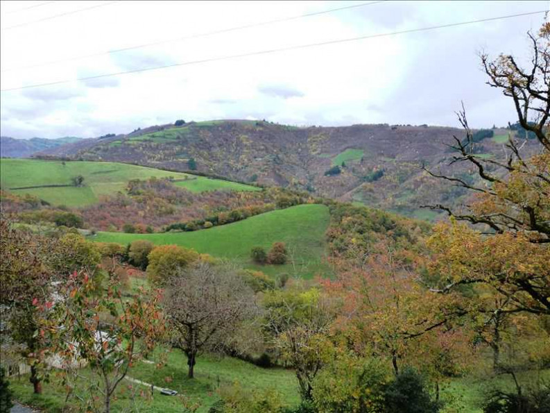 vente Maison Vieillevie - Photo 4