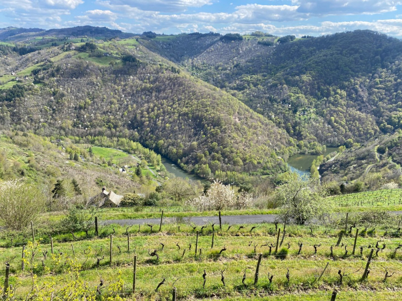 vente Maison Entraygues Sur Truyere - Photo 4