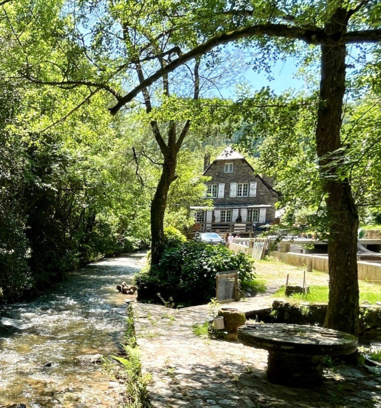 sale Maison Cassaniouze - Photo 10