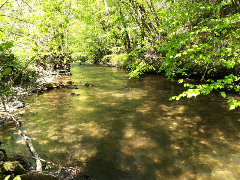 sale Maison de campagne Cassaniouze - Photo 10