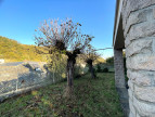 sale Maison Entraygues Sur Truyere