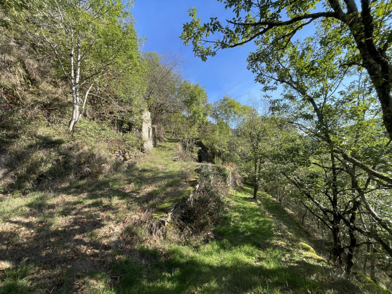 vente Maison Lacroix Barrez - Photo 5