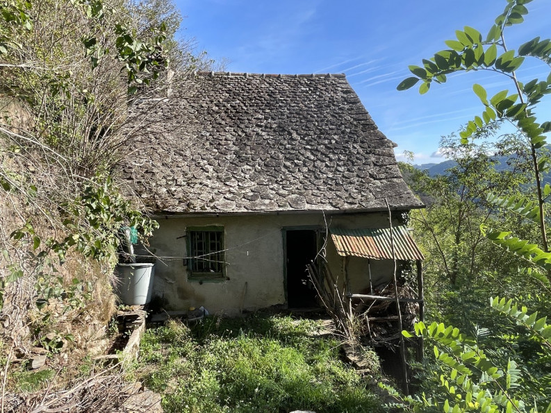 vente Maison Lacroix Barrez - Photo 1