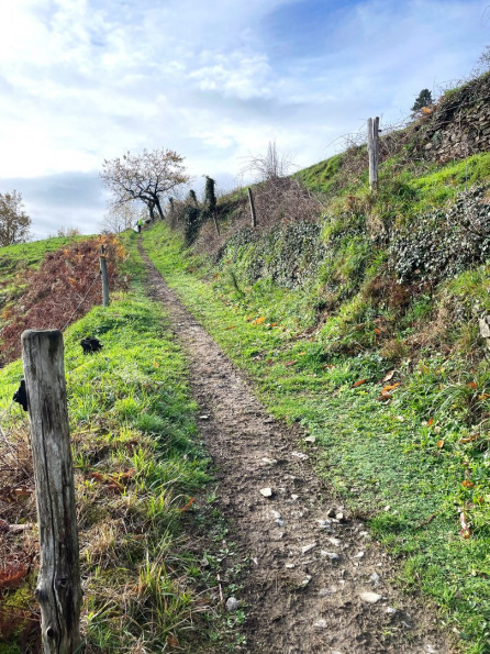 vente Maison Lacroix Barrez - Photo 20