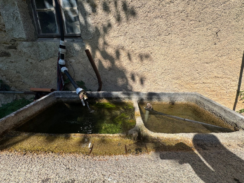 vente Corps de ferme Montsalvy - Photo 14