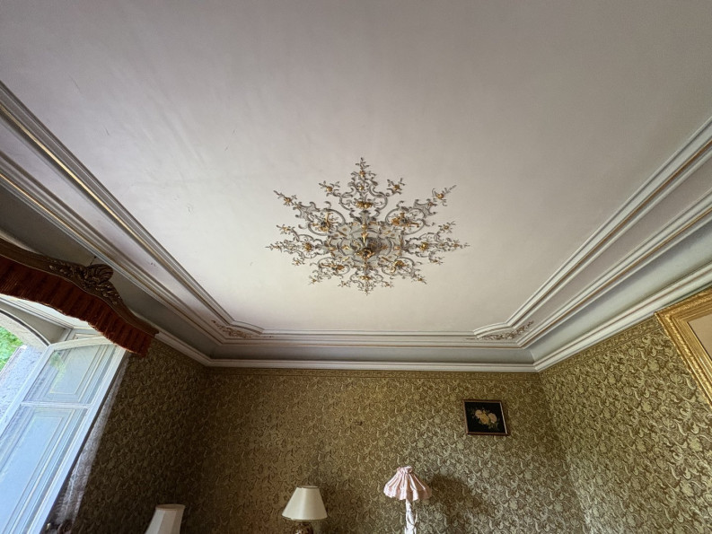 vente Demeure Teissieres De Cornet - Photo 8