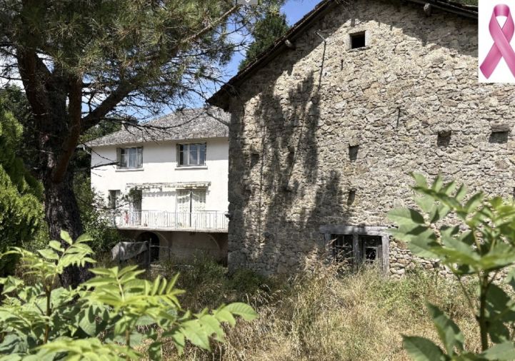 vente Corps de ferme Saint Mamet La Salvetat