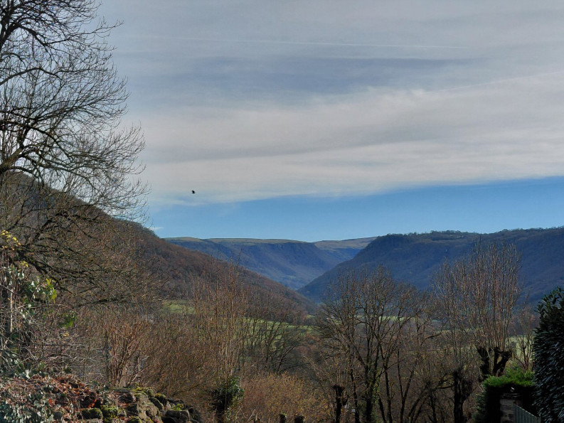 vente Maison Anglards De Salers - Photo 14