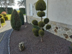 vente Maison Ytrac