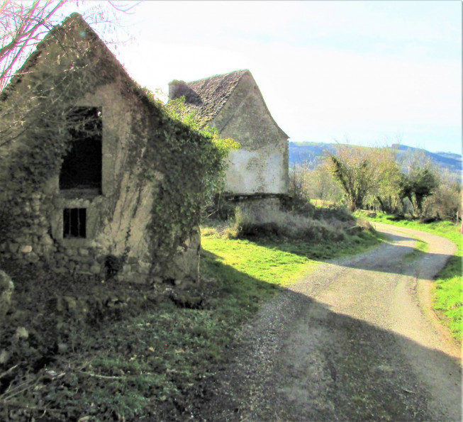 sale Maison Golinhac - Photo 10
