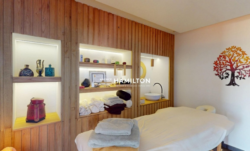 vente Domaine Albi - Photo 13