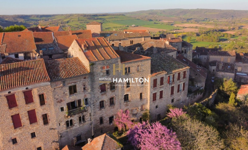 vente Demeure de ville et village Cordes-sur-ciel - Photo 3