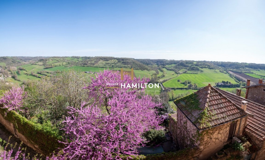 vente Demeure de ville et village Cordes-sur-ciel - Photo 18