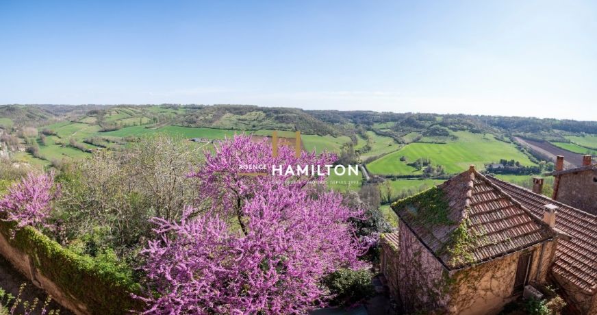 vente Demeure de ville et village Cordes-sur-ciel