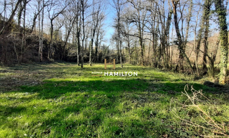 sale Moulin Albi - Photo 20