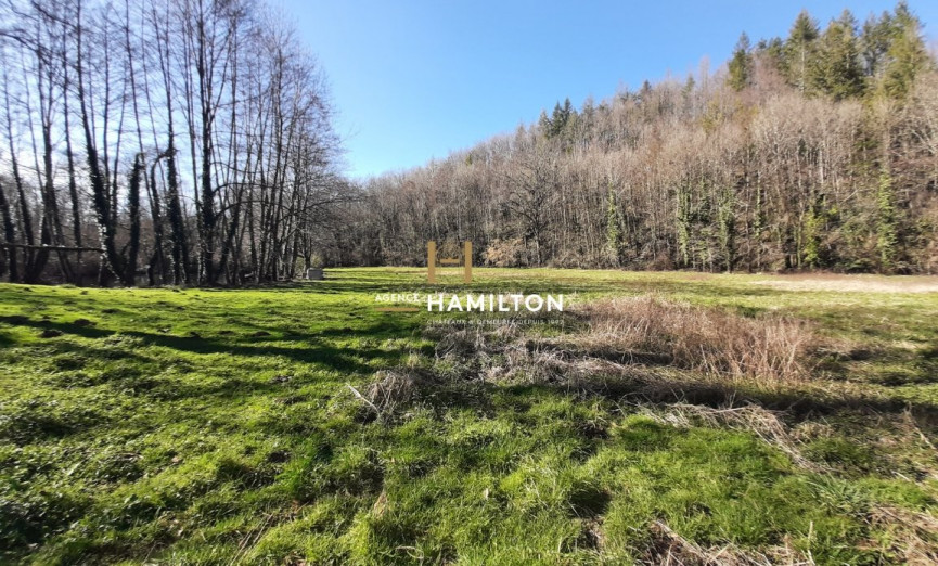 sale Moulin Albi - Photo 19