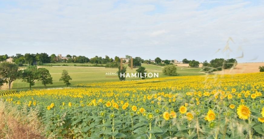 vente Maison de maître Albi