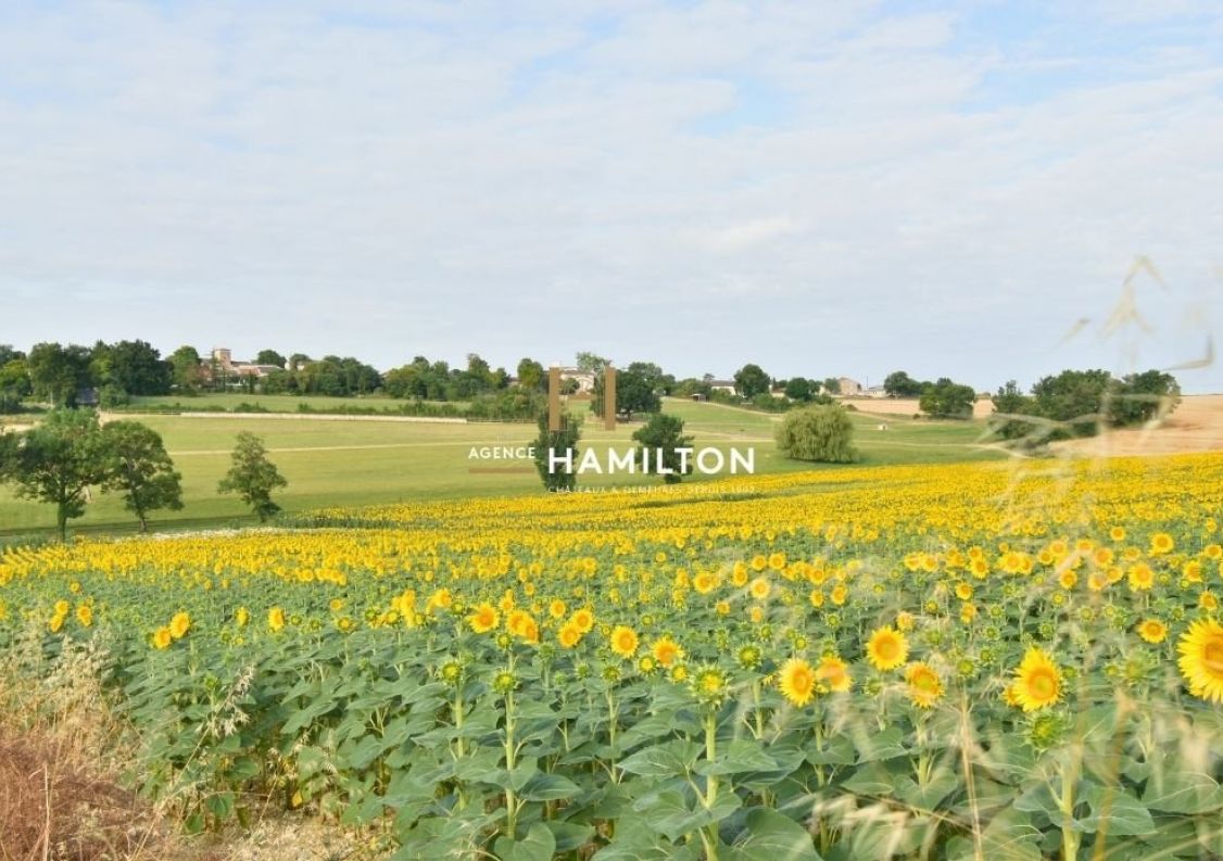 vente Maison de maître Albi