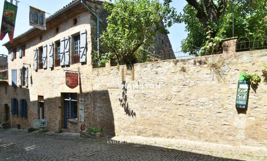 sale Immeuble mixte Cordes-sur-ciel - Photo 1