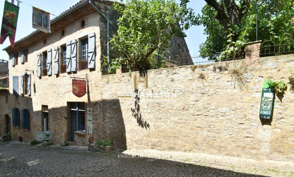 vente Immeuble mixte Cordes-sur-ciel - Photo 1