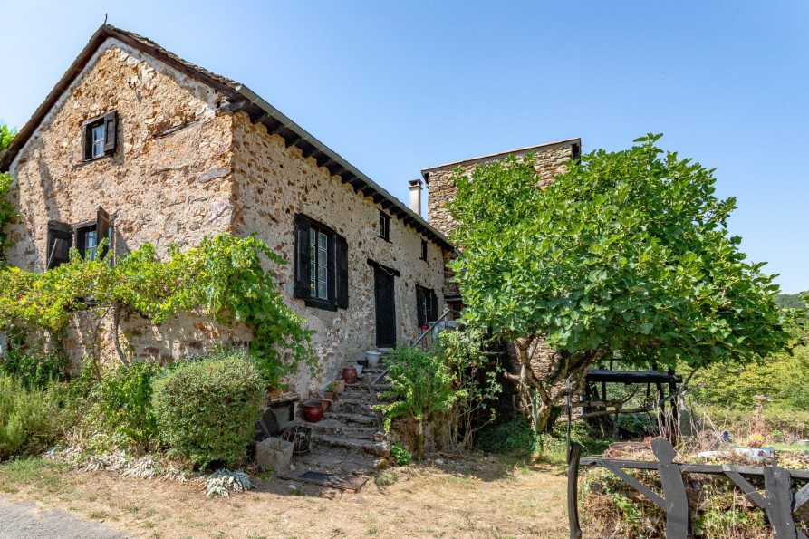 vente Maison Pampelonne - Photo 1