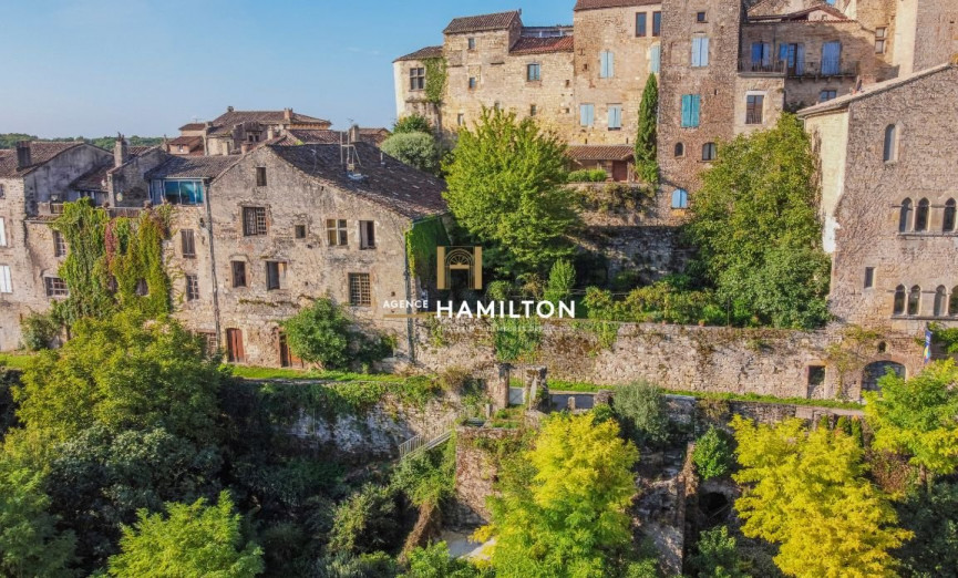 vente Maison de village Cordes-sur-ciel - Photo 1
