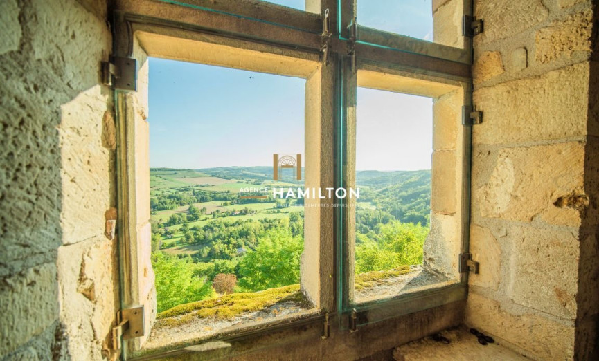 vente Maison de village Cordes-sur-ciel - Photo 11