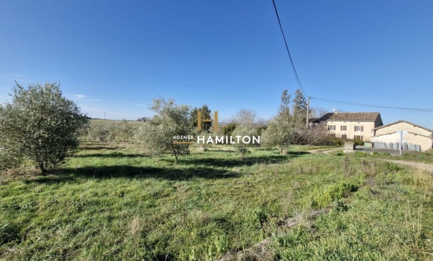 vente Propriété agricole Mouzieys Panens - Photo 3