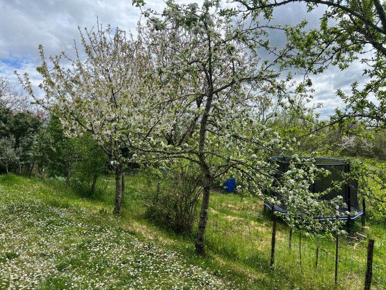 vente Maison de campagne Vaour - Photo 20