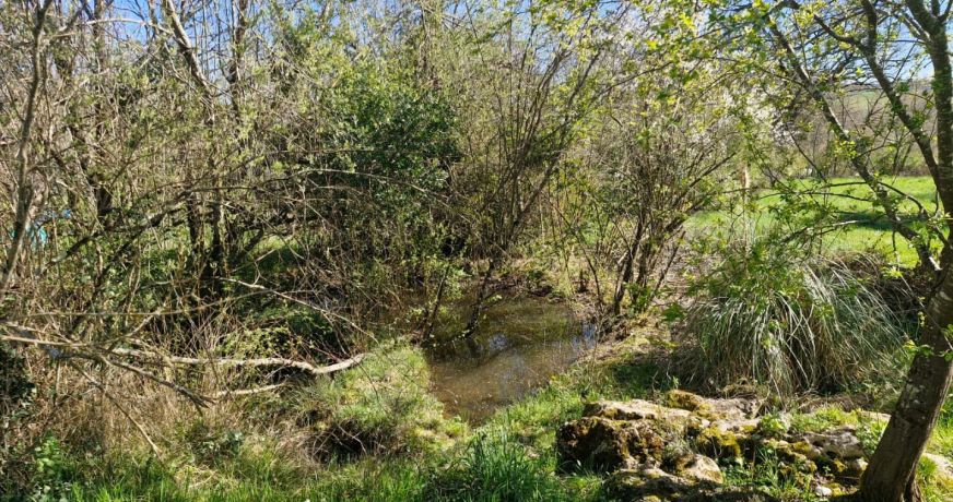 vente Maison et terrain Cordes-sur-ciel